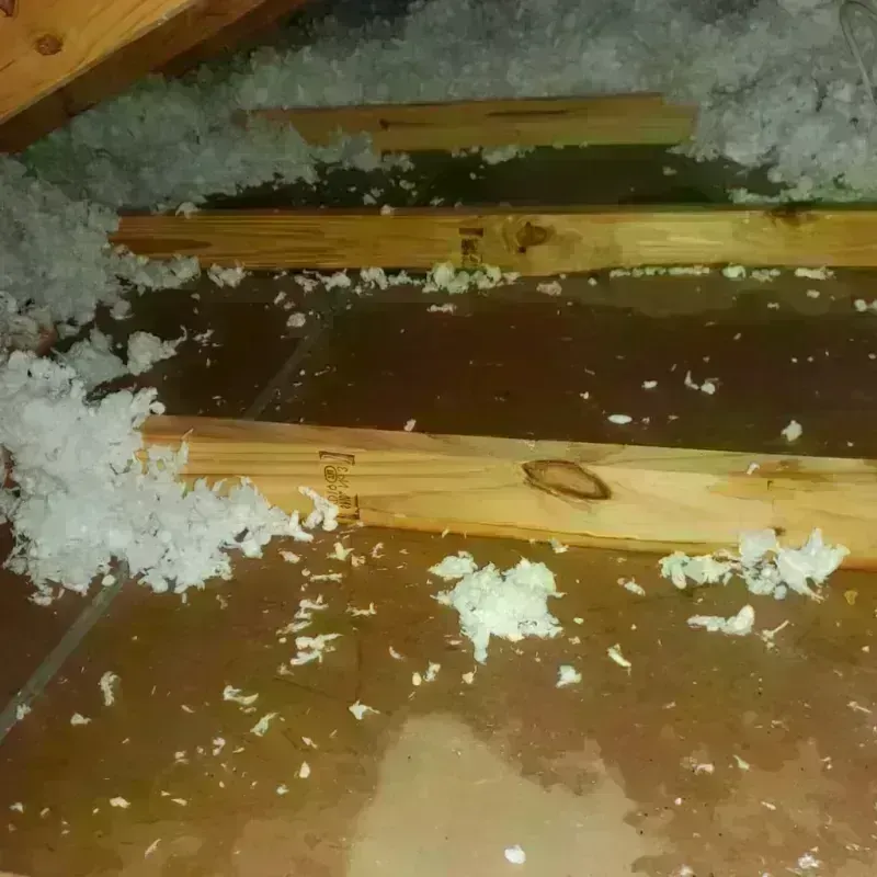 Attic Water Damage in Eustis, FL