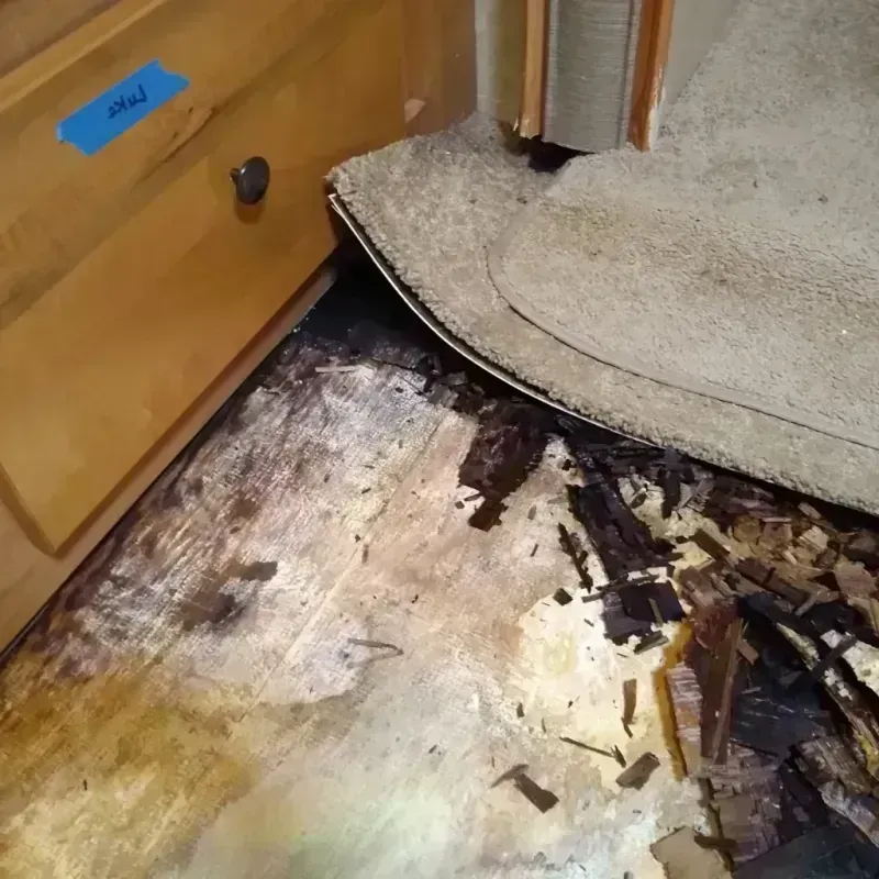 Wood Floor Water Damage in Eustis, FL